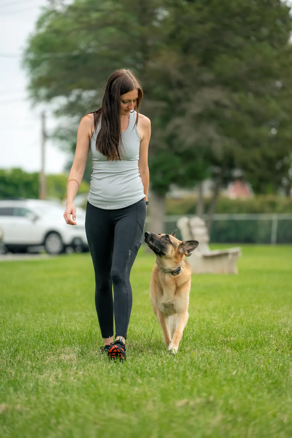 A K9aholics trainer heeling a dog off leash in a real world setting