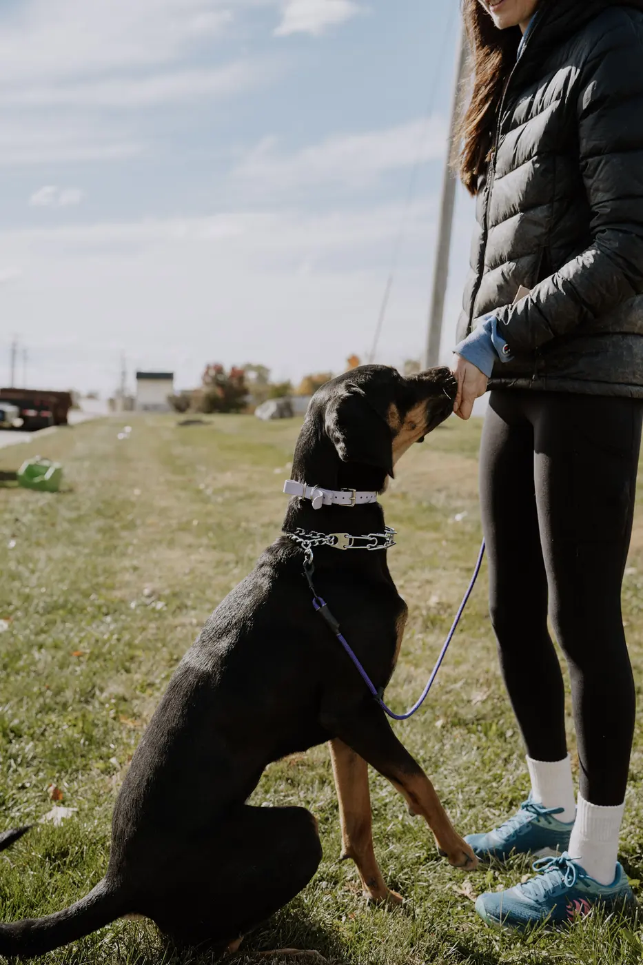 A dog being lured with a treat in a basic obedience class